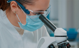 Бактерии играют ключевую роль в образовании камней в почках