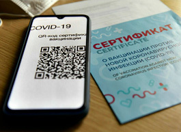 Совет Госдумы единогласно снял с рассмотрения законопроект о введении QR-кодов в общественных местах