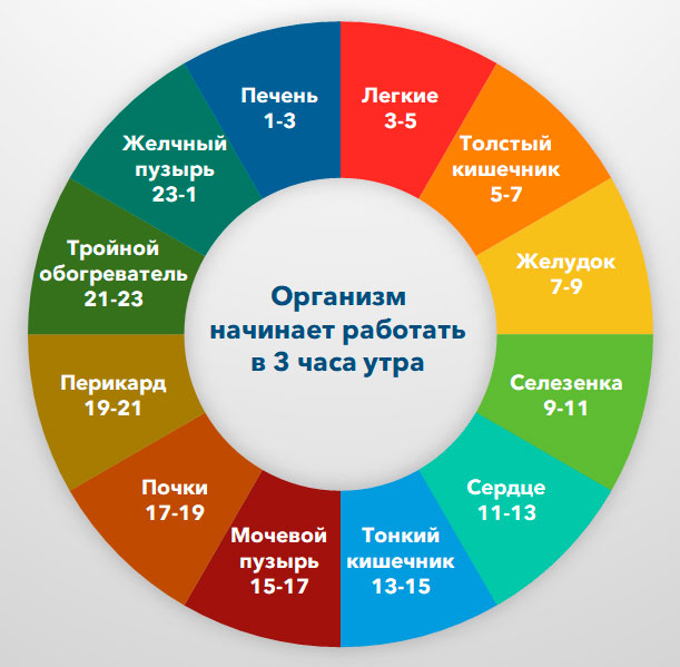 Что такое биоритмы и как они влияют на секс?