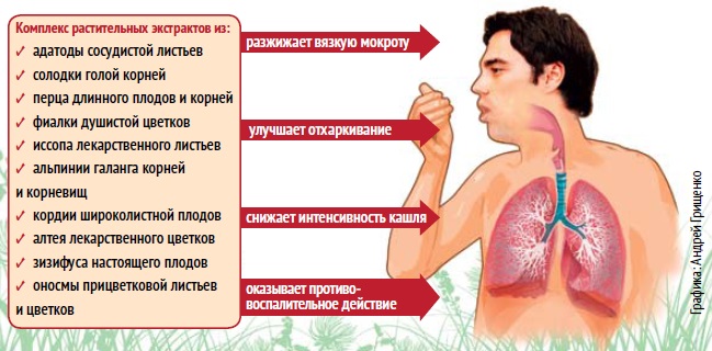 Разжижающие мокроту. Народные средства для отхождения мокроты у взрослых. Народные средства для отхождения мокроты у взрослых. Народные средства для отхождения мокроты у взрослых. Народные средства для отхождения мокроты у взрослых.
