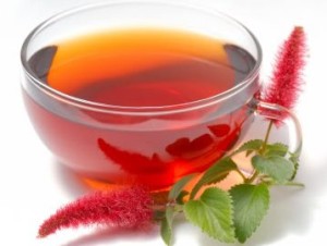 Glas cup of roi bos tea with red flowers decorated on white