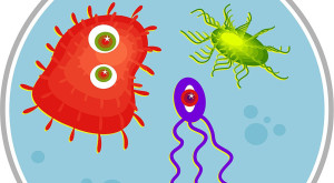 Bacteria-cartoon-Big-Stock-800x441